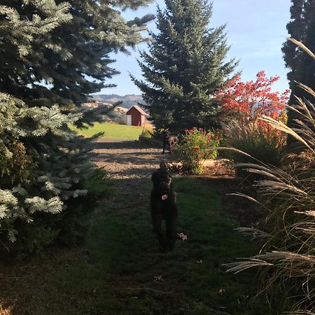 Husum Highlands Bed And Breakfast מראה חיצוני תמונה