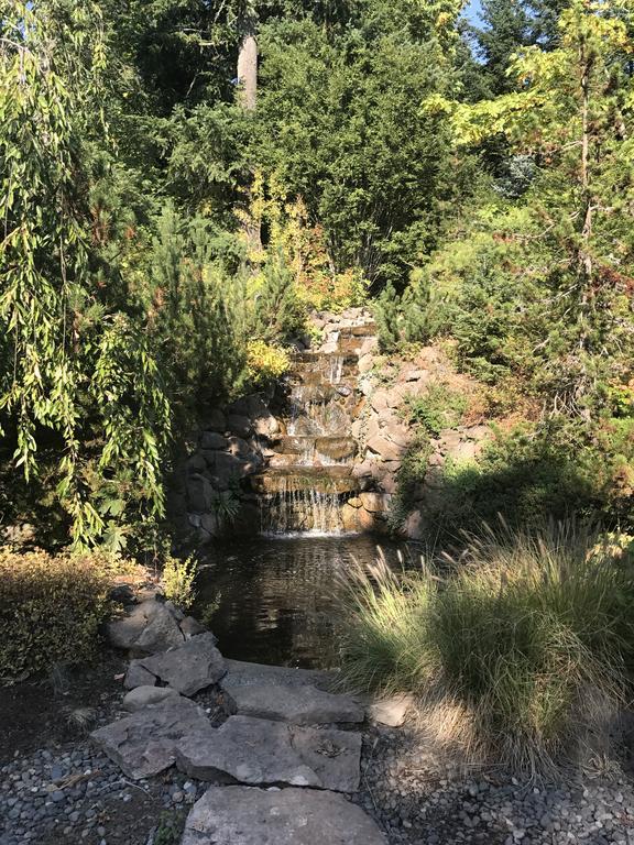 Husum Highlands Bed And Breakfast מראה חיצוני תמונה